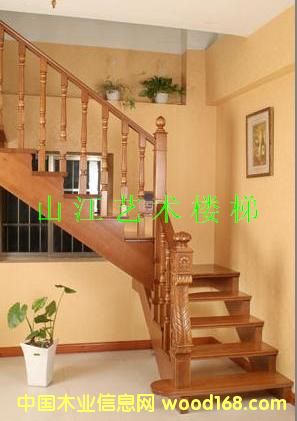 ���(y��ng)��(sh��)ľ���ݵ�Ԕ��(x��)��B