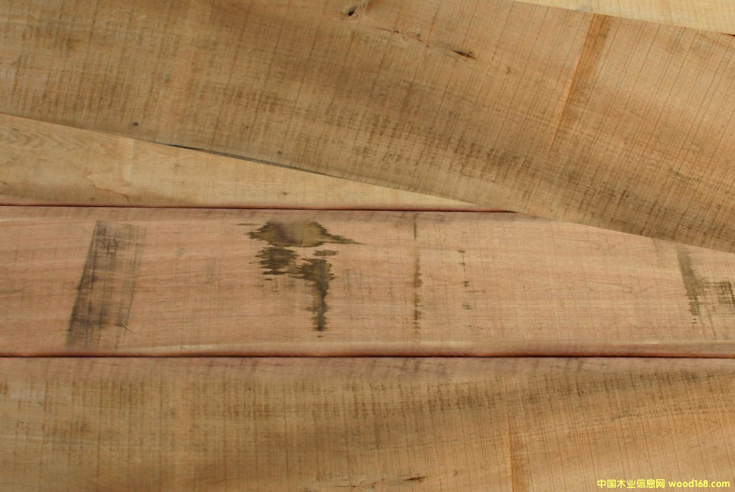 �c(di��n)���鿴�ľ��ķŴ�DƬ