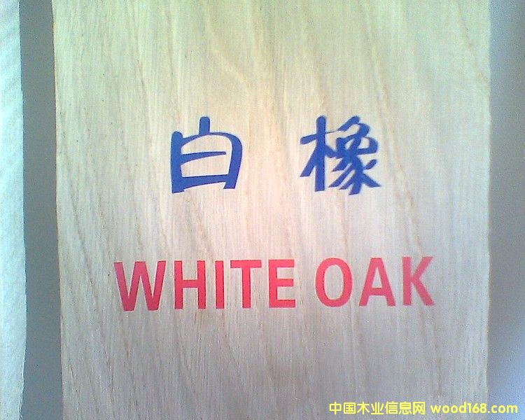 ��������ľ��ɰ�ĵ�Ԕ��(x��)��B