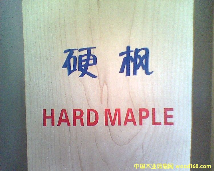 ����Ӳ��ľ��ɰ�ĵ�Ԕ��(x��)��B