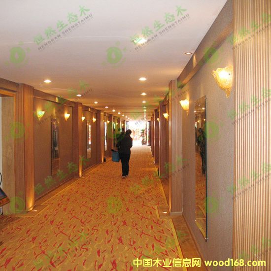 ���B(t��i)ľ��Ԕ����B