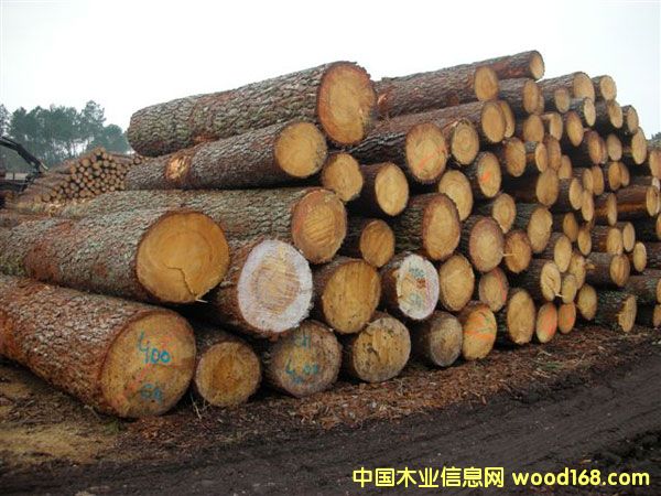 ���������ɵ�Ԕ��(x��)��B