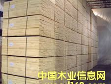 ���ɵ�Ԕ����B