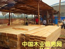 ���ɵ�Ԕ����B