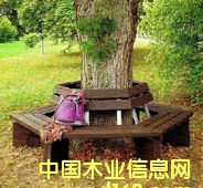 ľ��/��ľ���