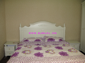 �Wʽ���׼Ҿߵ�Ԕ��(x��)��B