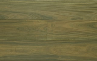 �c���鿴�SϞ?z��i)�SS5101�Ŵ�DƬ