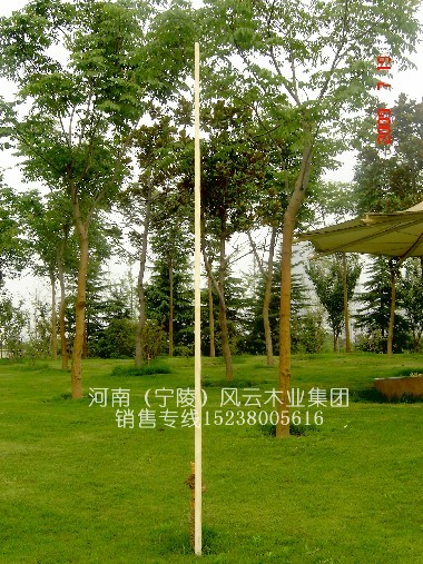 ����(y��ng)4.8��̫�O��U/���̫�Oʮ���U/���y(t��ng)��Ϟ��U ��Ԕ����B