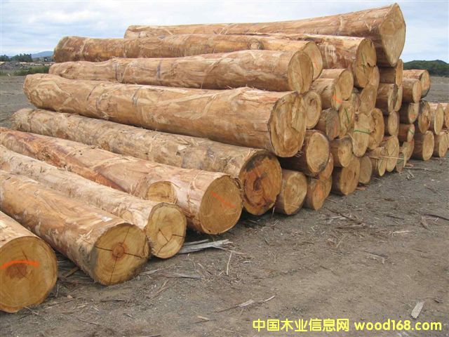 ����tԭľ��Ԕ��(x��)��B