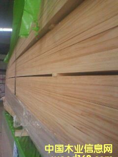 ݗ���ɵ�Ԕ����B