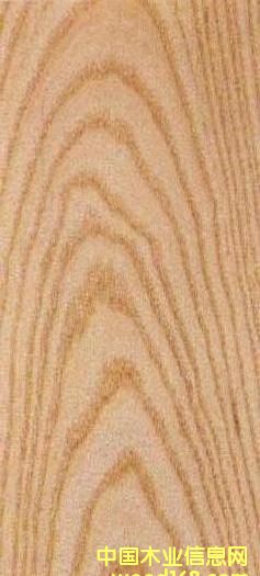 FSCˮ������Ԕ��(x��)��B