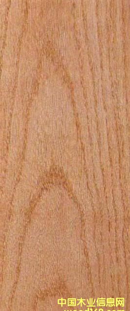 FSC�t���Ԕ��(x��)��B