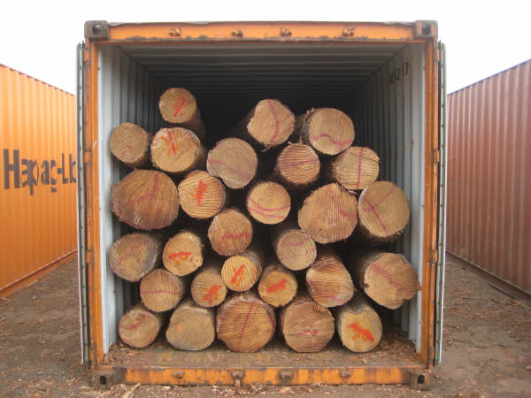 ݗ����ԭľ��Ԕ����B