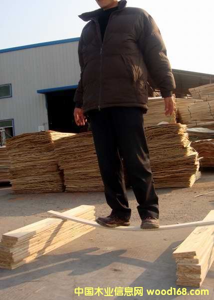 �ΰ�ӷe�� LVL �T���l��