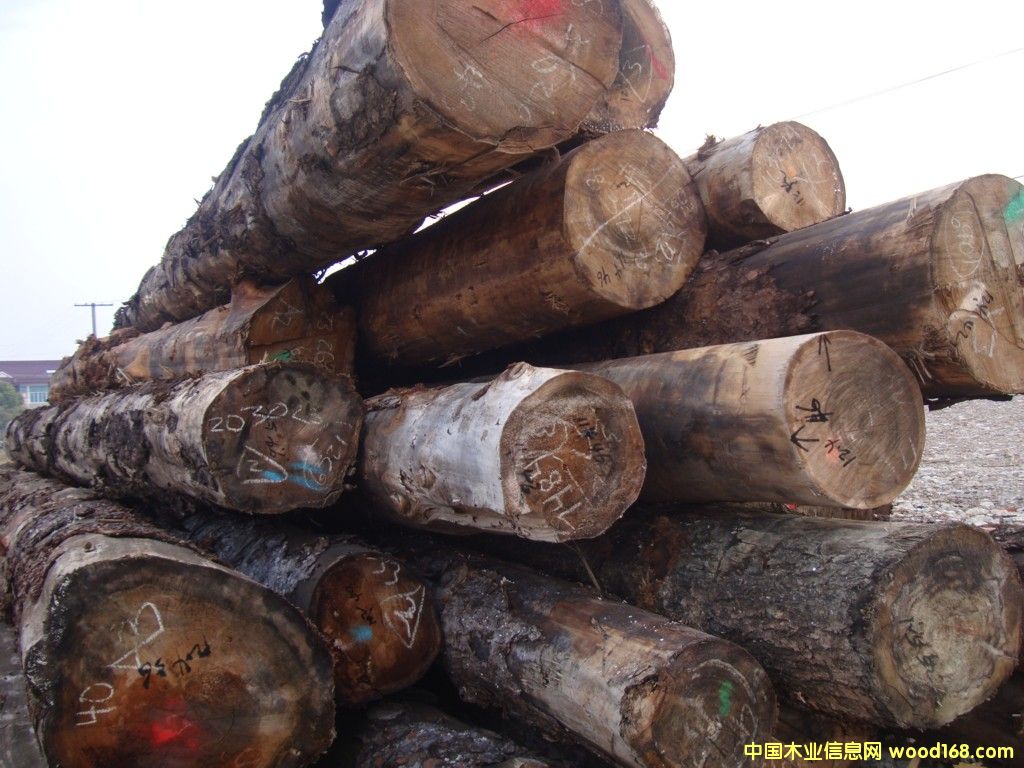 ���l(f��)���M����ɼ���Fɼ