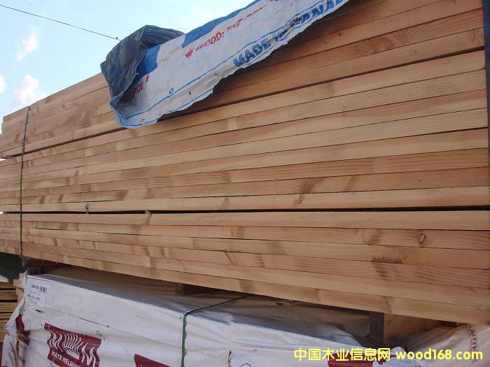 �����m�ɵ�Ԕ����B