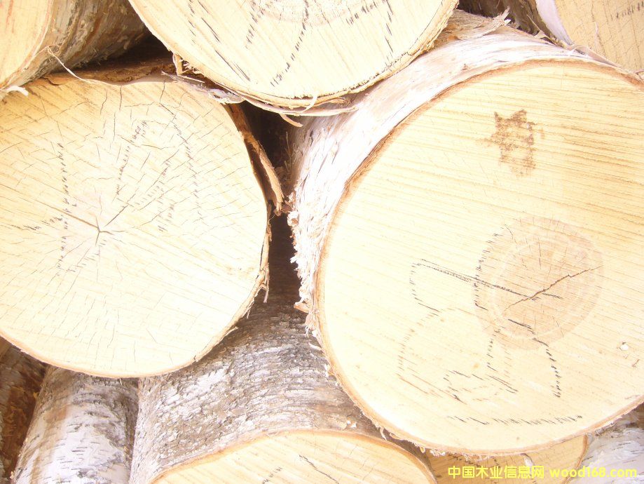 ���_˹�ט�ԭľ�����ģ���Ԕ����B