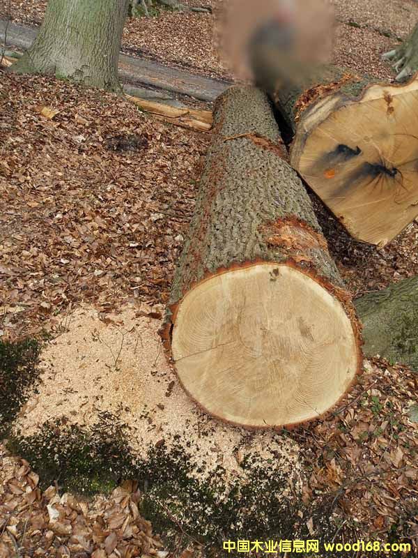 �������е�Ԕ����B