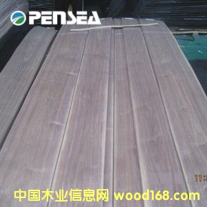 �ں���ľƤ��Ԕ��(x��)��B