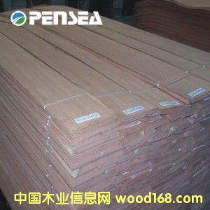 �t��ľƤ��Ԕ��(x��)��B