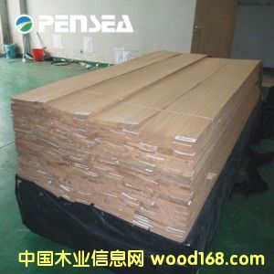 ����ľƤ��Ԕ��(x��)��B