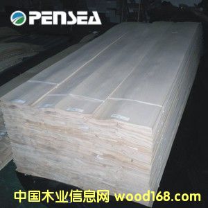 ��ľľƤ��Ԕ��(x��)��B