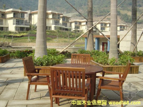 �c(di��n)���鿴ľ�|(zh��)���ηŴ�DƬ