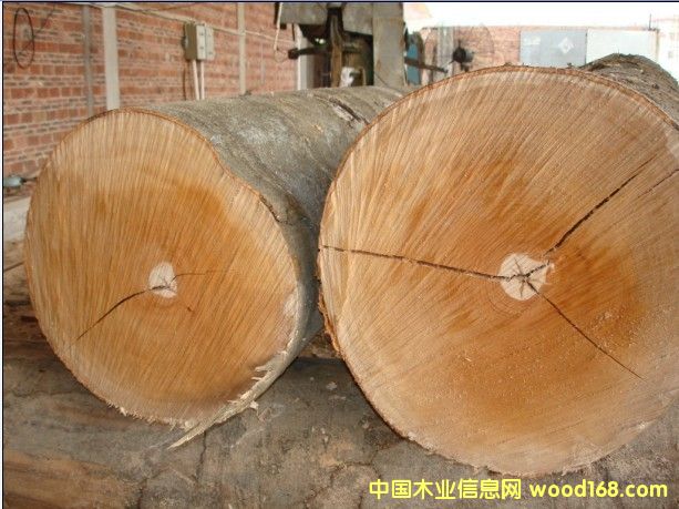 �W�ޙ�ľ��Ԕ��(x��)��B