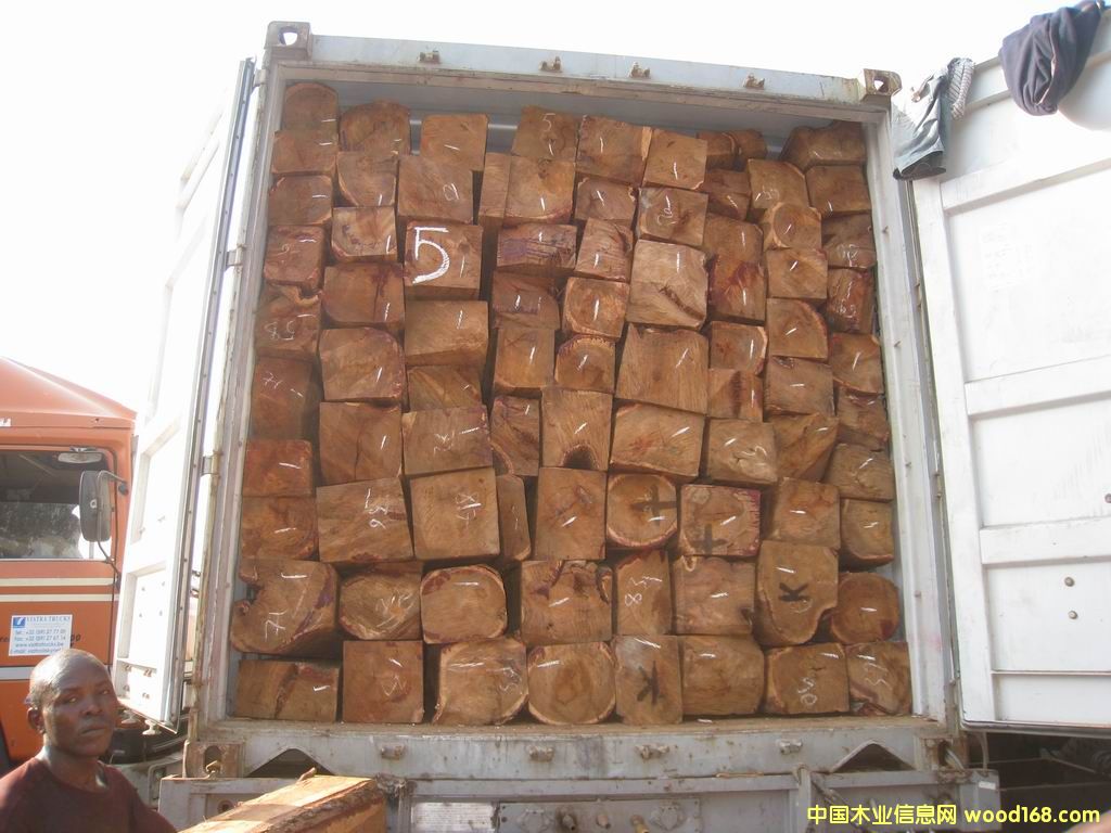 �������Ԕ��(x��)��B