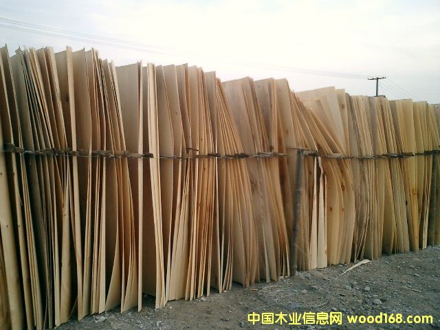 �c���鿴��ľ�ΰ�Ŵ�DƬ