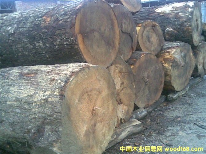 ��ľ��Ԕ��(x��)��B