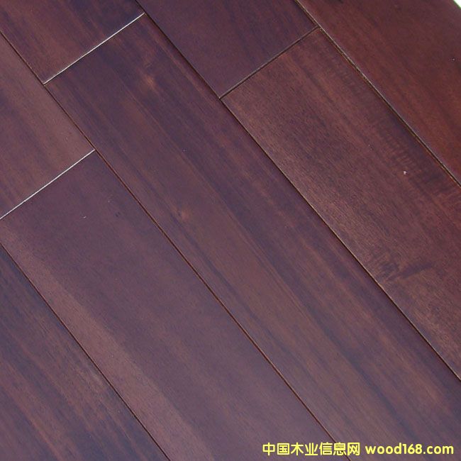 ���޺��Ҍ�ľ�ذ�2