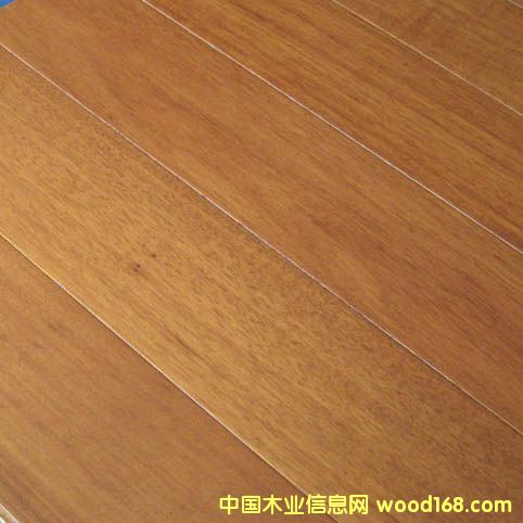 �һ�о��ľ�ذ�2