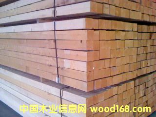 ���ô��Fɼ��ľ��Ԕ��(x��)��B