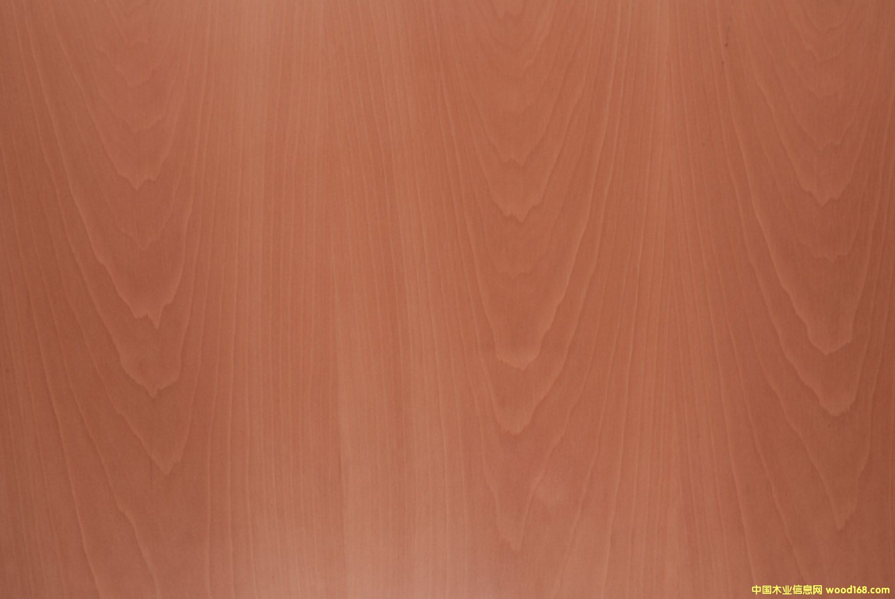 ��ʿ��ľ��Ԕ��(x��)��B