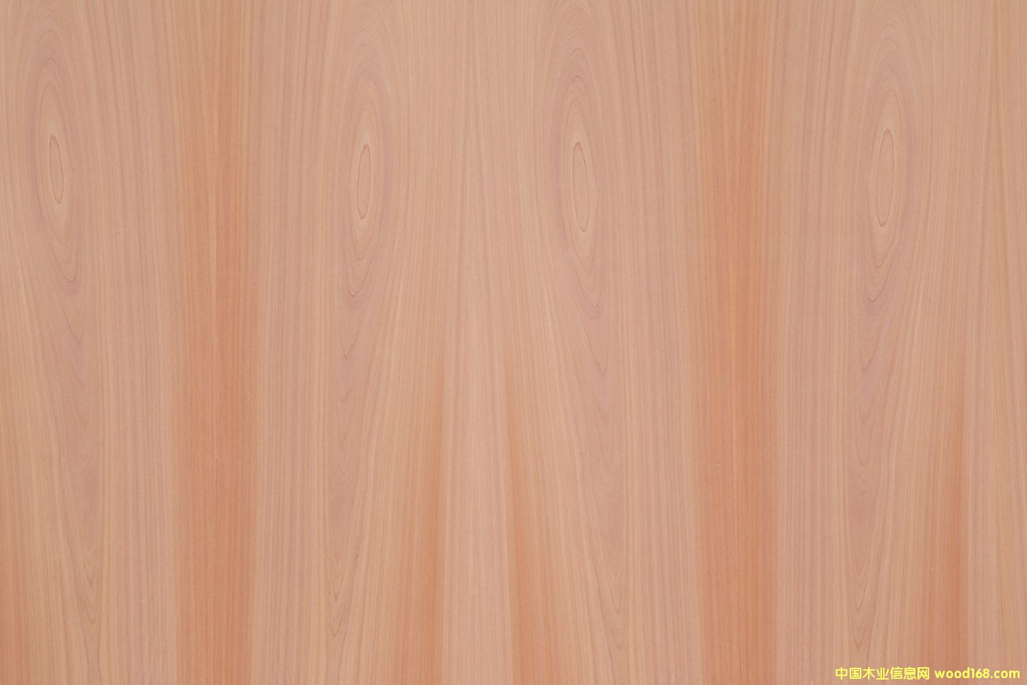 ����ľ��Ԕ��(x��)��B