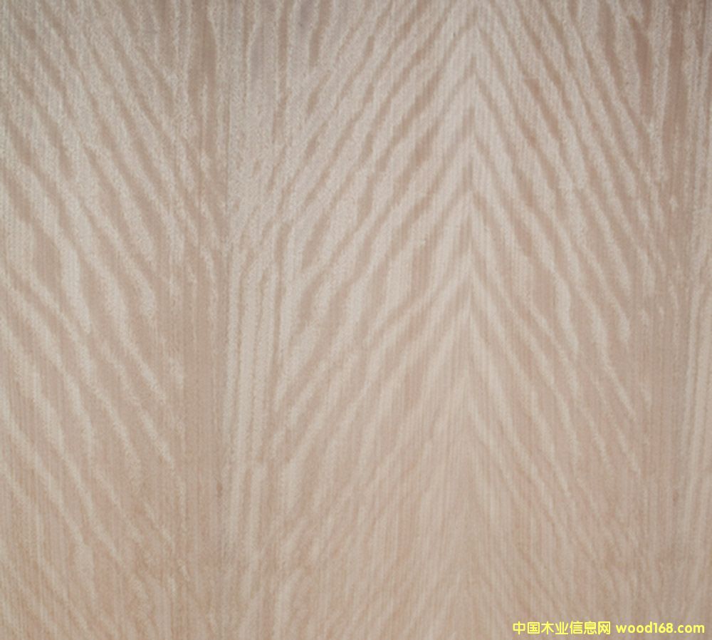 ��Ӱ��Ԕ��(x��)��B