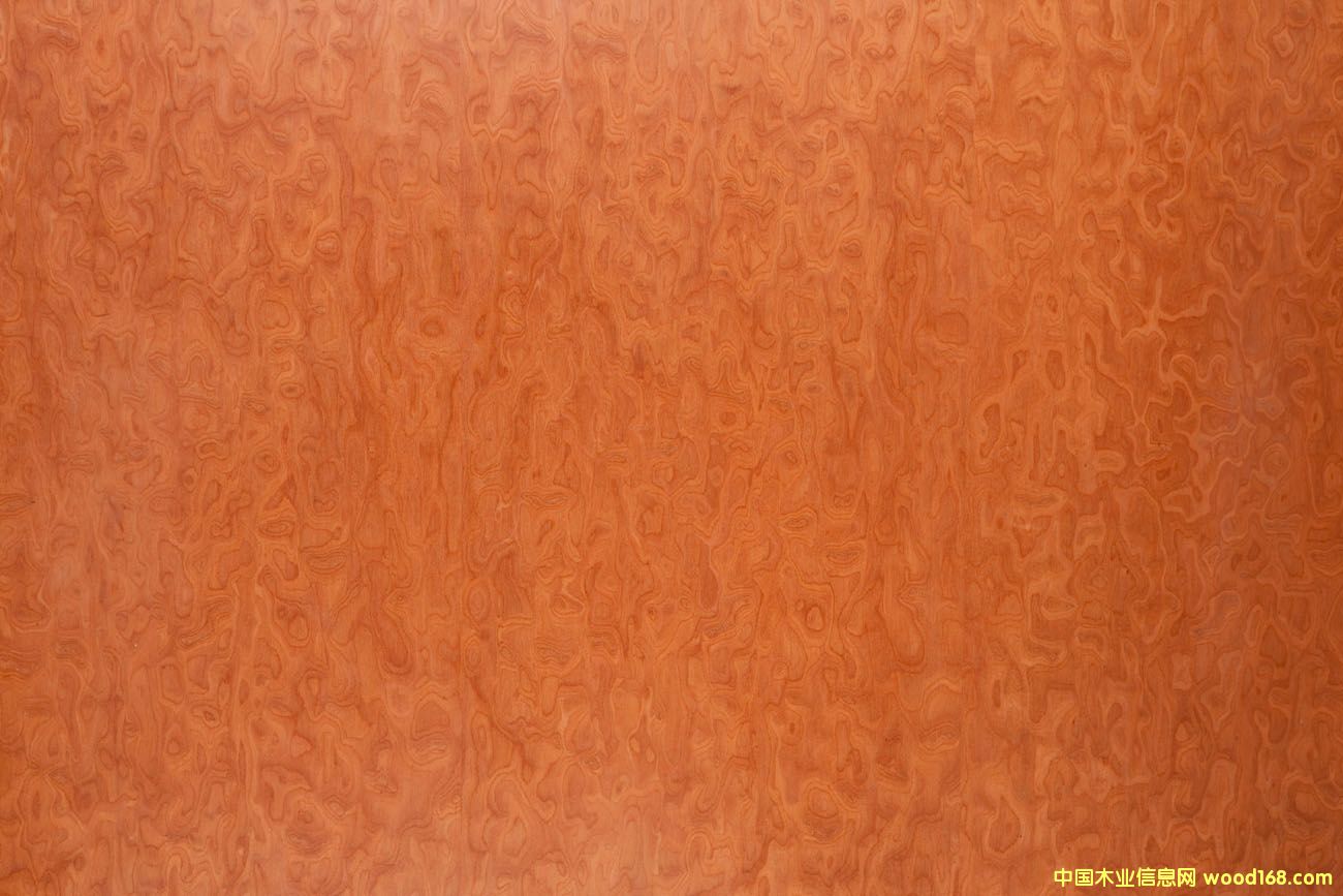 �����Ԕ��(x��)��B