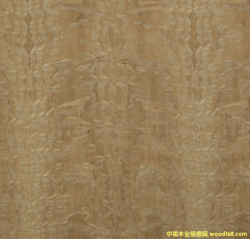 ��������(sh��)��