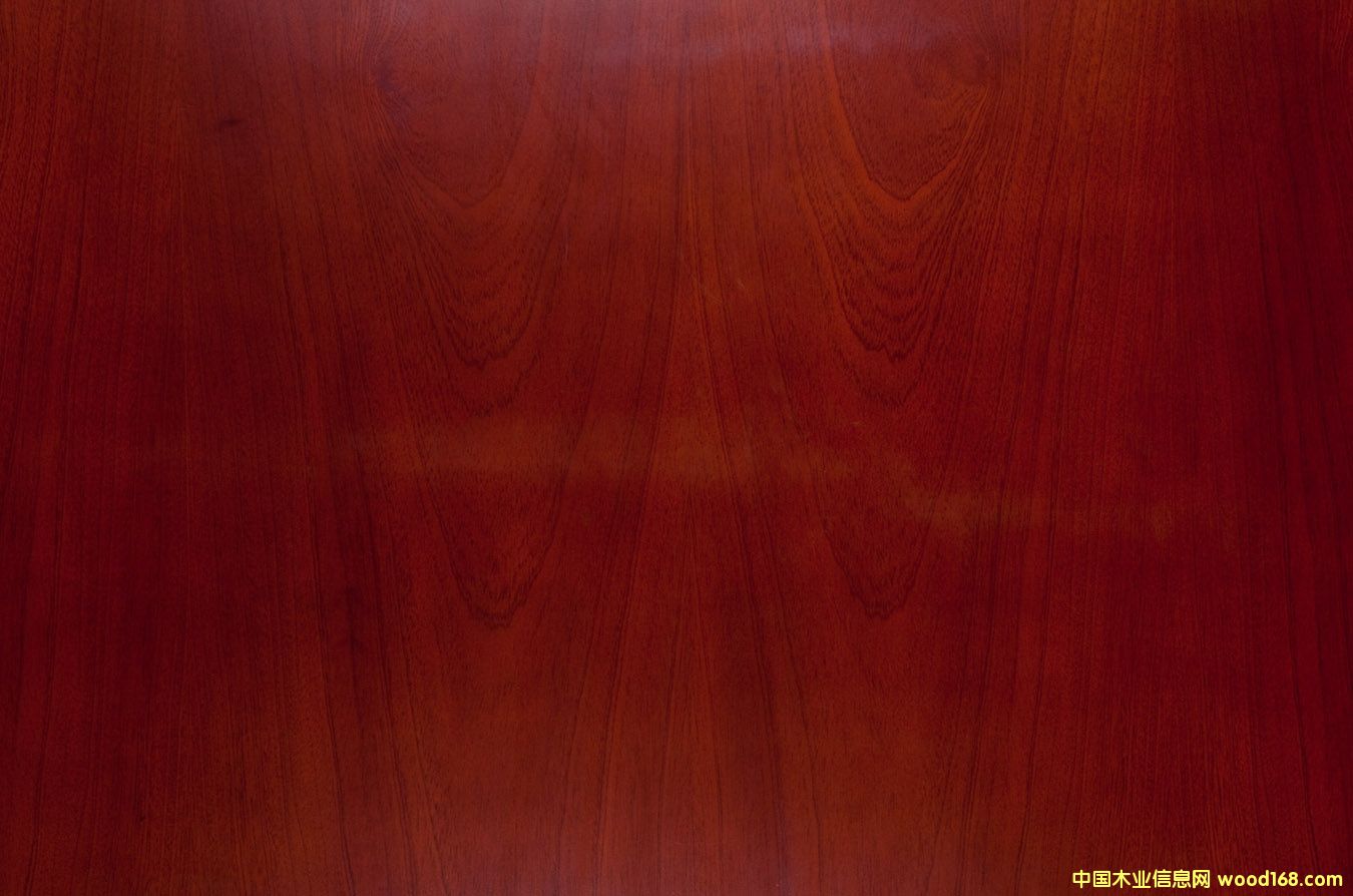 �һ�о��Ԕ��(x��)��B