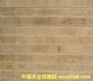 ̎��һ����ľ���| ��ľ������ �A��