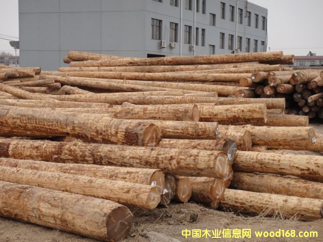 �c(di��n)���鿴�Fɼԭľ�Ŵ�DƬ