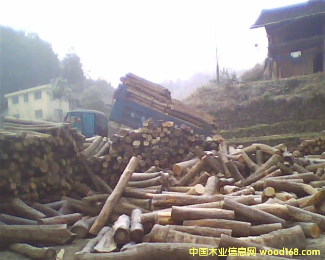 �ӹ��S������Ԕ����B