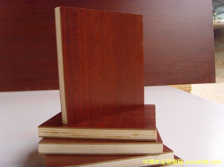 ��(sh��)ľ���Ӱ�