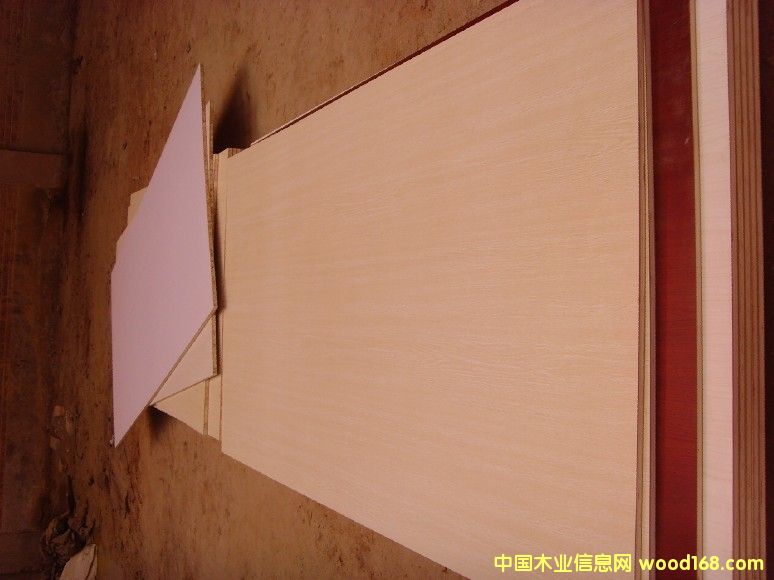 ��(sh��)ľ���Ӱ�