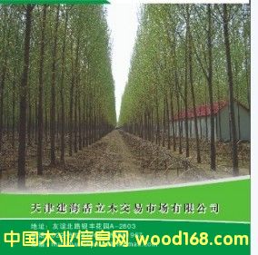 �o�����(sh��)��Ԕ��(x��)��B