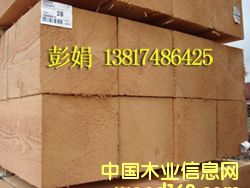 �����ɰ��