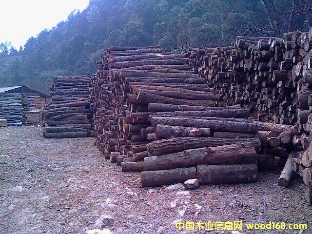 ���NҎ(gu��)��ΰ��Ԕ����B