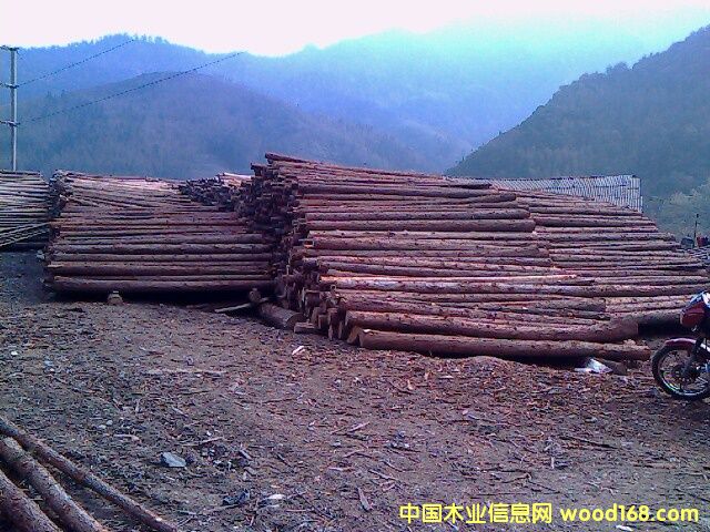 ɼԭľ��Ԕ����B