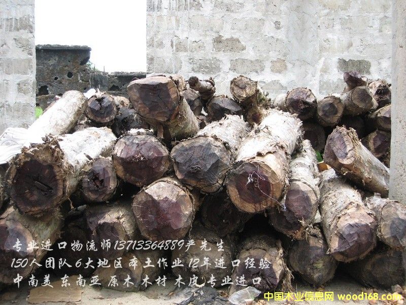 �|�ρ�ľ���M��/������ľ���M��/����ľ���M�ڴ���